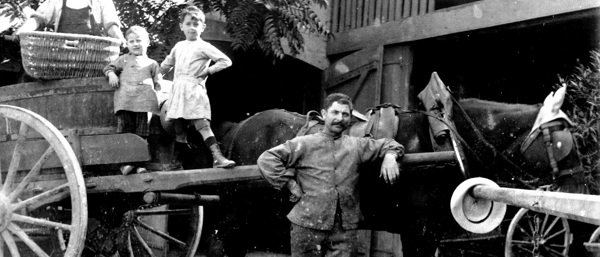 Les années <strong>1950</strong>
