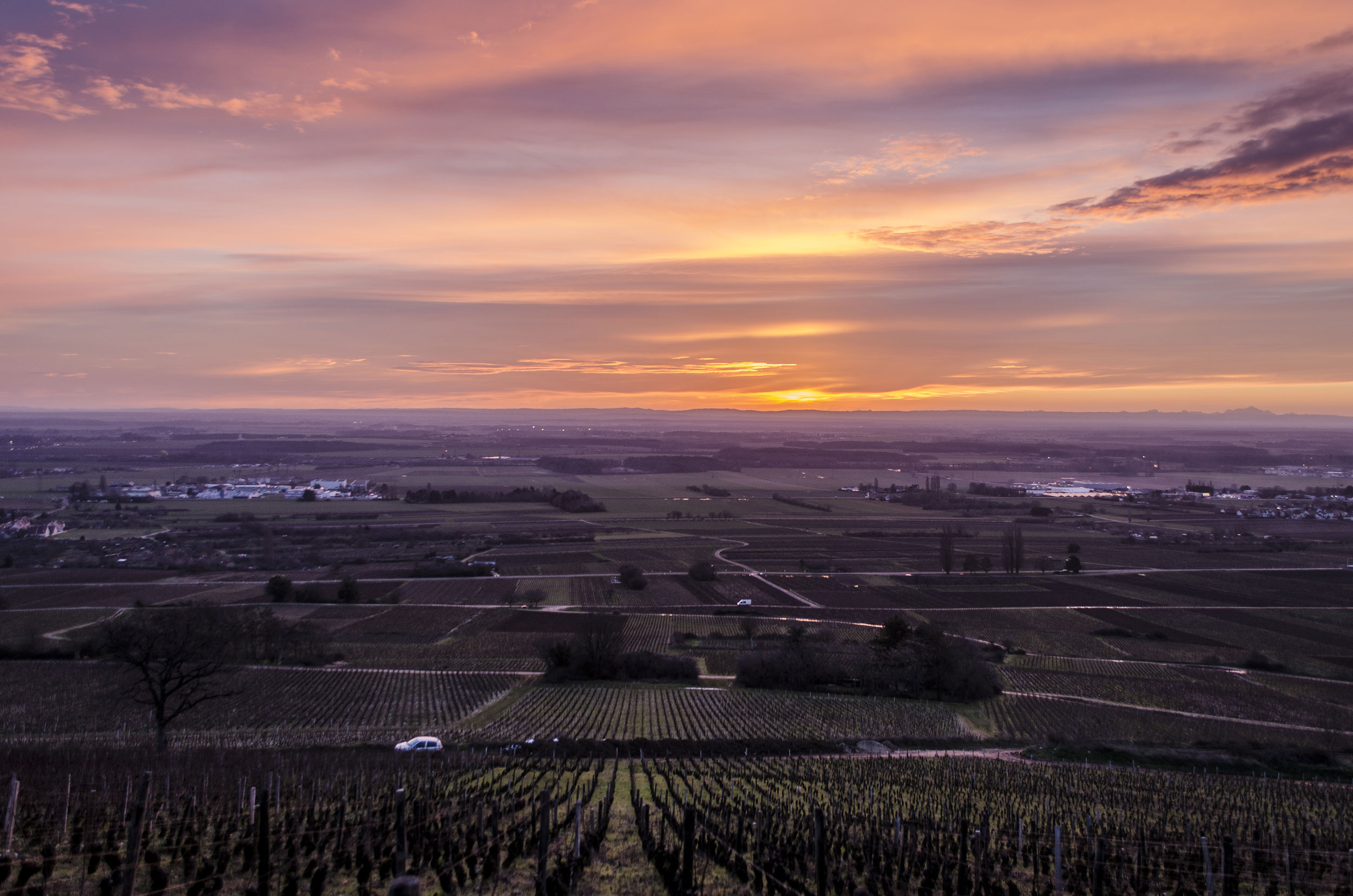 photo-domaine-derey-1