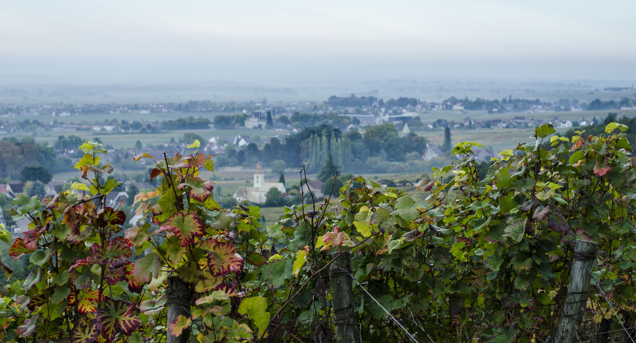 photo-domaine-derey-3